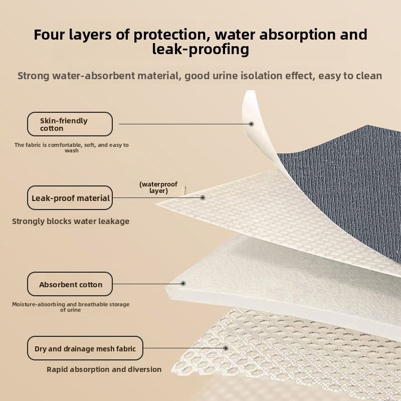Ropa Interior Lavable para Inc - Period Panty Absorbent reseña y precio