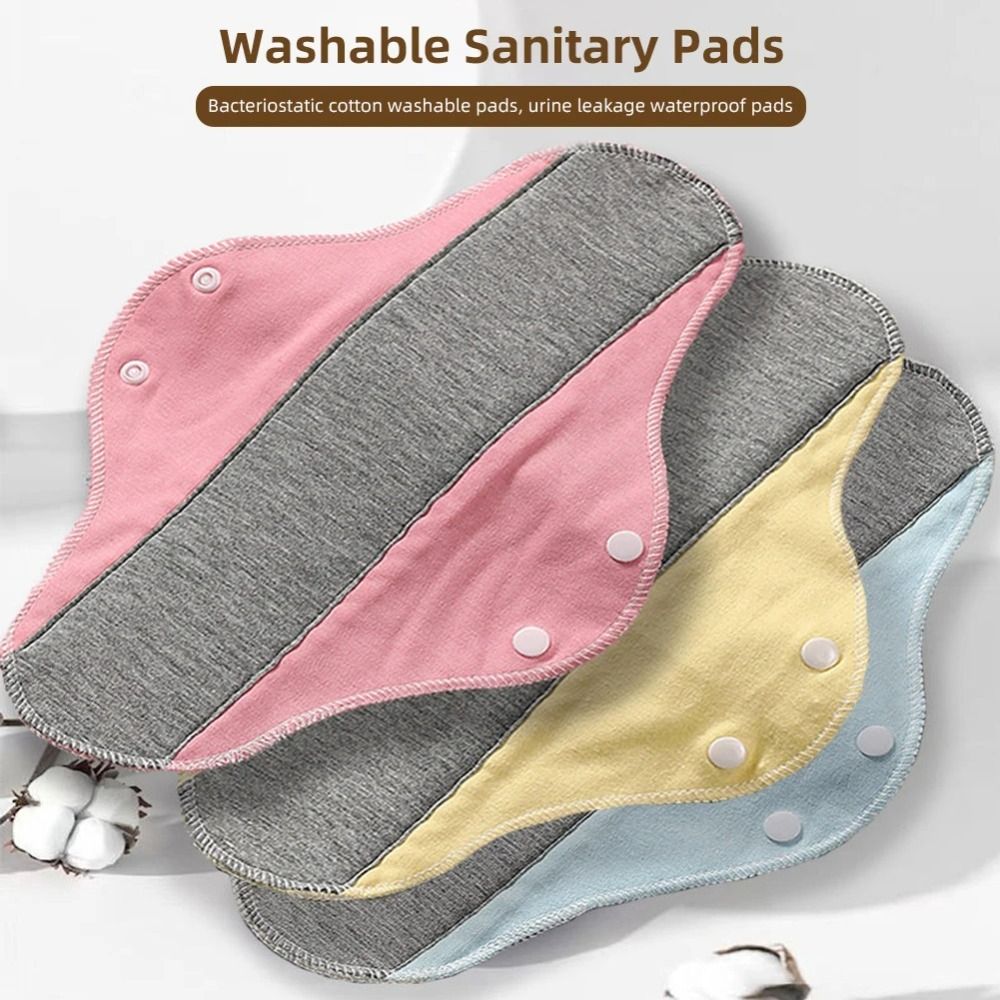 Pañales Reutilizables para Adu - Period Panty Absorbent reseña y precio