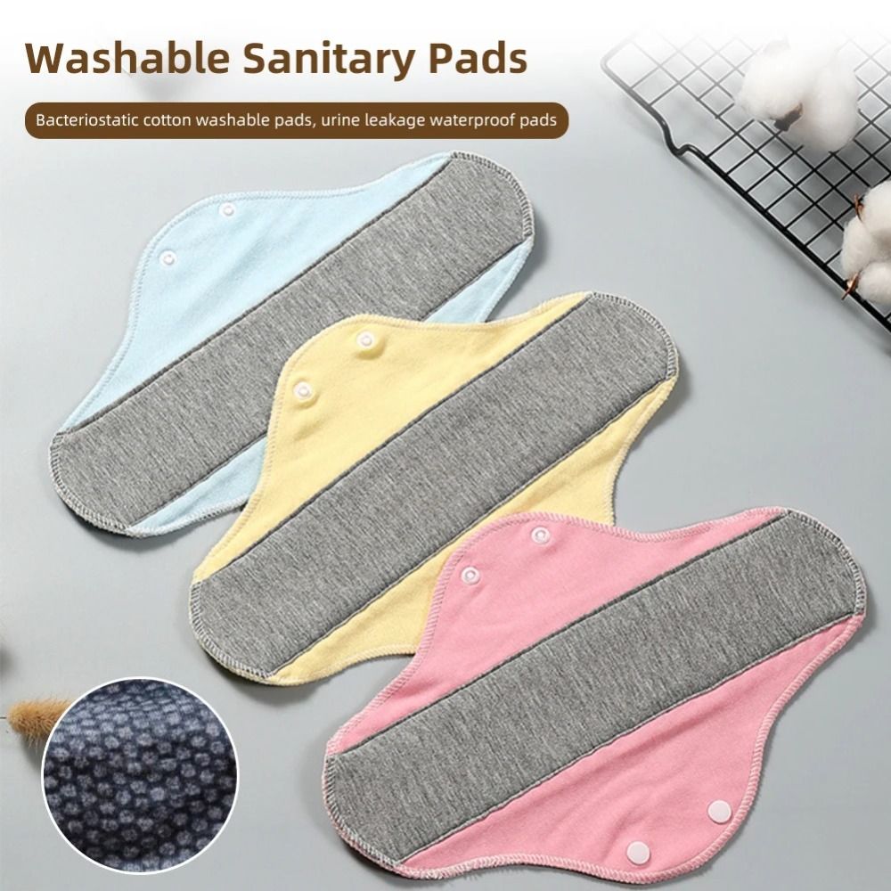 Pañales Reutilizables para Adu - Period Panty Absorbent reseña y precio