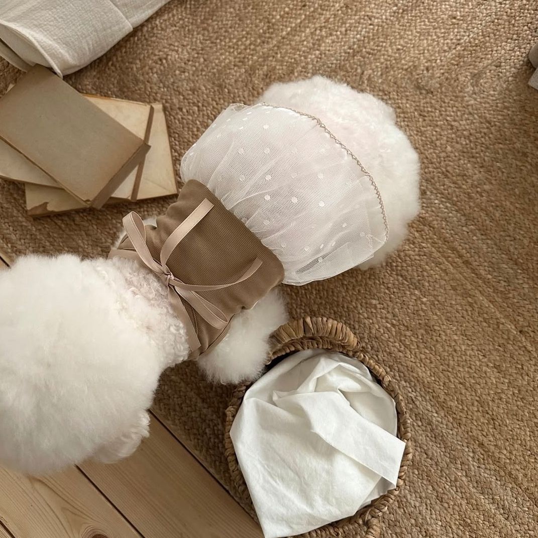 Vestido de encaje para mascota - Lace Teddy Lingerie reseña y precio
