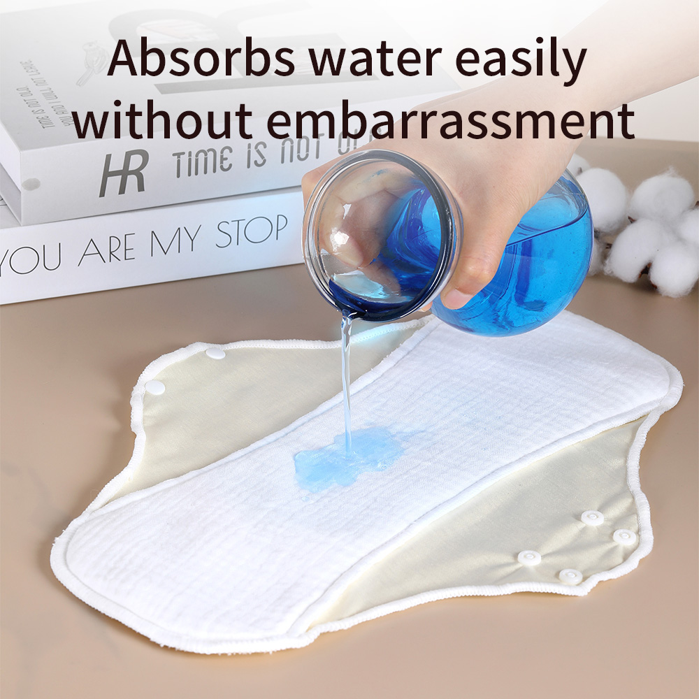 1 compresas sanitarias lavable - Period Panty Absorbent reseña y precio
